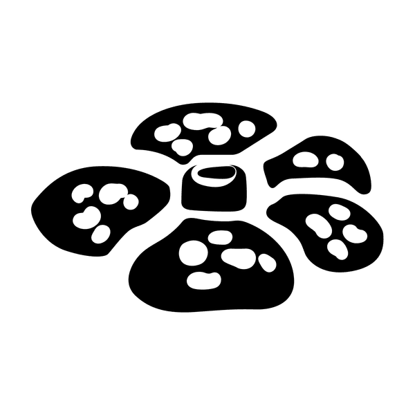 Pokémon Jungle Symbol