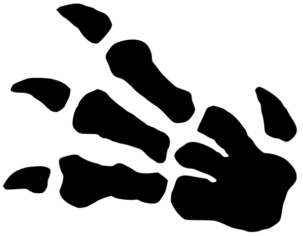 Fossil Symbol